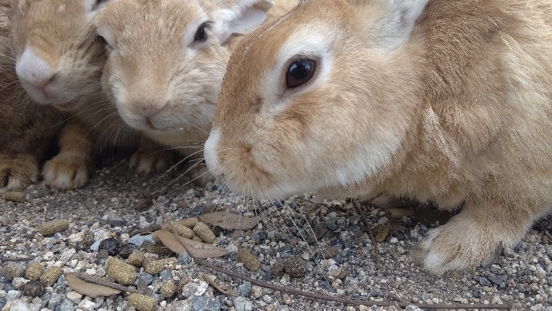 f:id:GhostofAtlantis:20210815072537j:plain