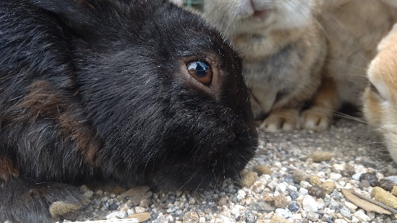 f:id:GhostofAtlantis:20210815072539j:plain