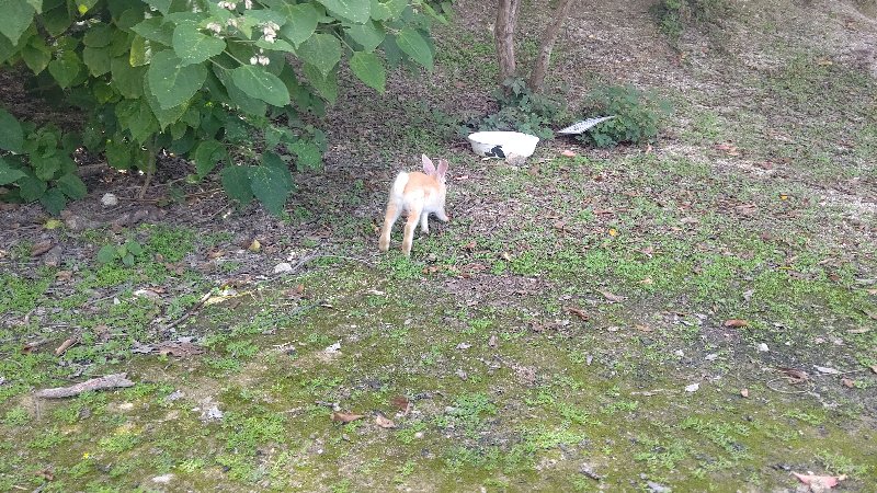 f:id:GhostofAtlantis:20210815072542j:plain