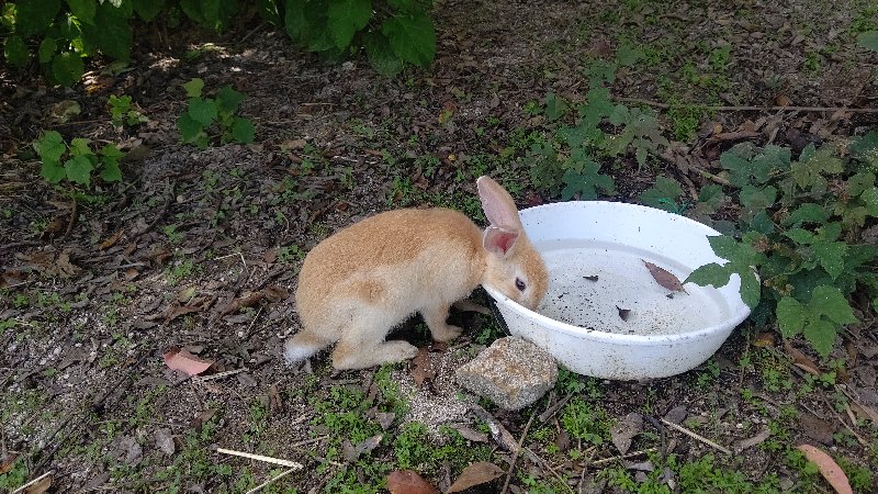 f:id:GhostofAtlantis:20210815072544j:plain