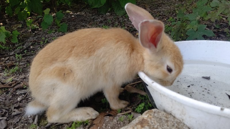 f:id:GhostofAtlantis:20210815072547j:plain