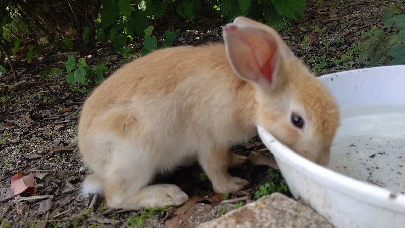 f:id:GhostofAtlantis:20210815072550j:plain