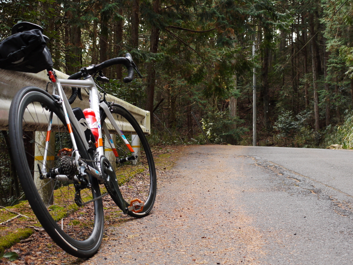 f:id:GiapponeDoriano:20210129180705j:plain