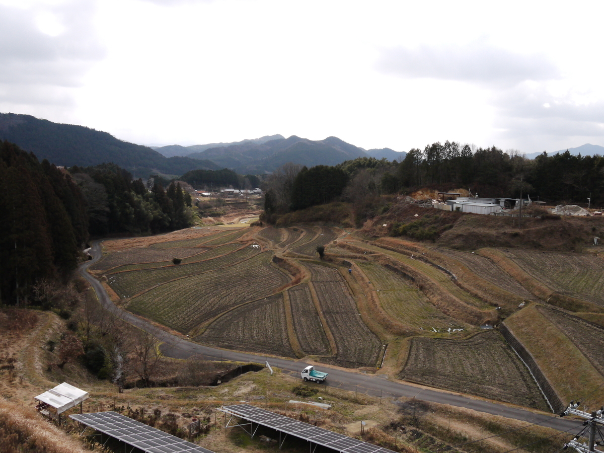 f:id:GiapponeDoriano:20210129184917j:plain