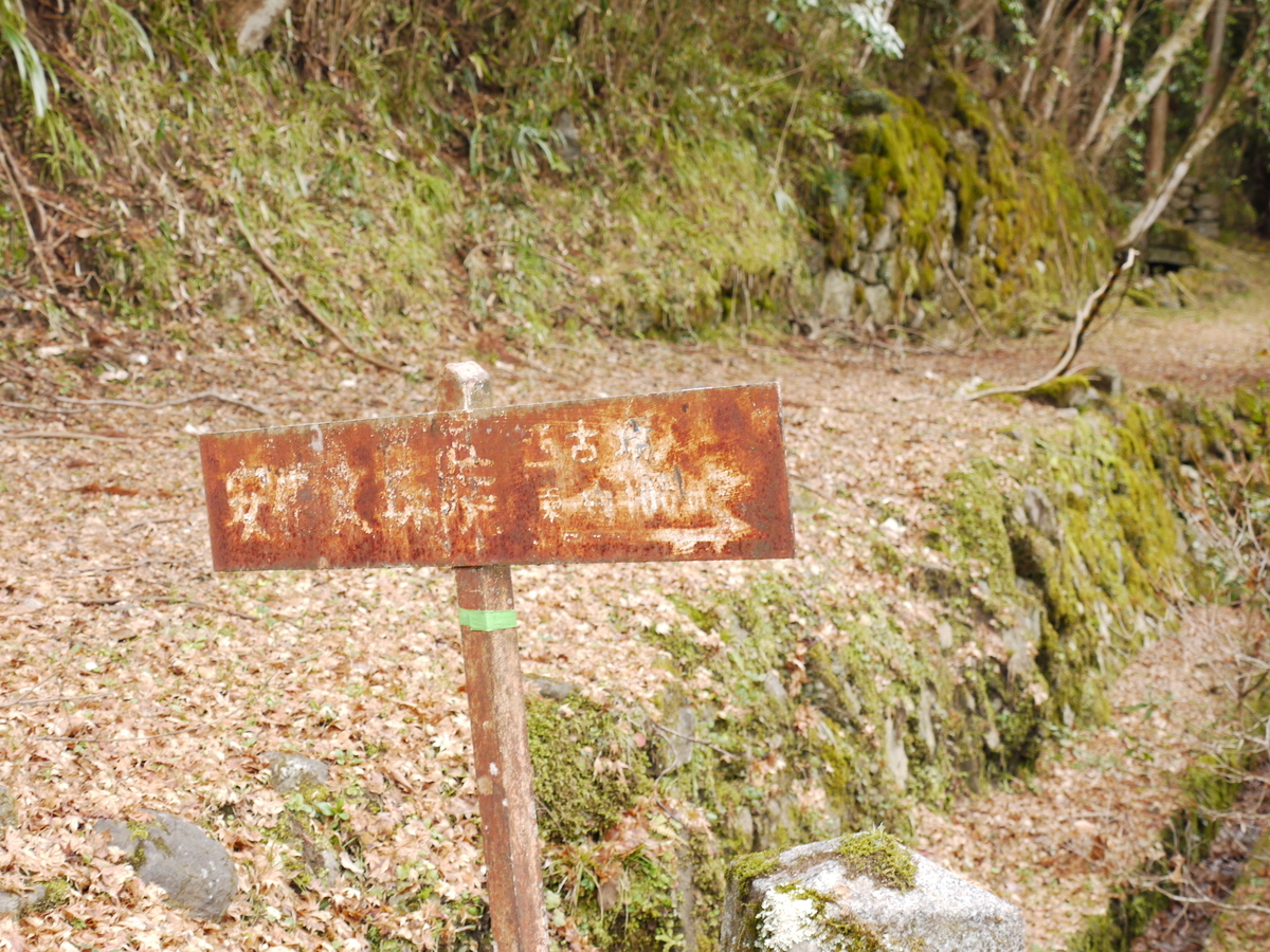 f:id:GiapponeDoriano:20210129190041j:plain