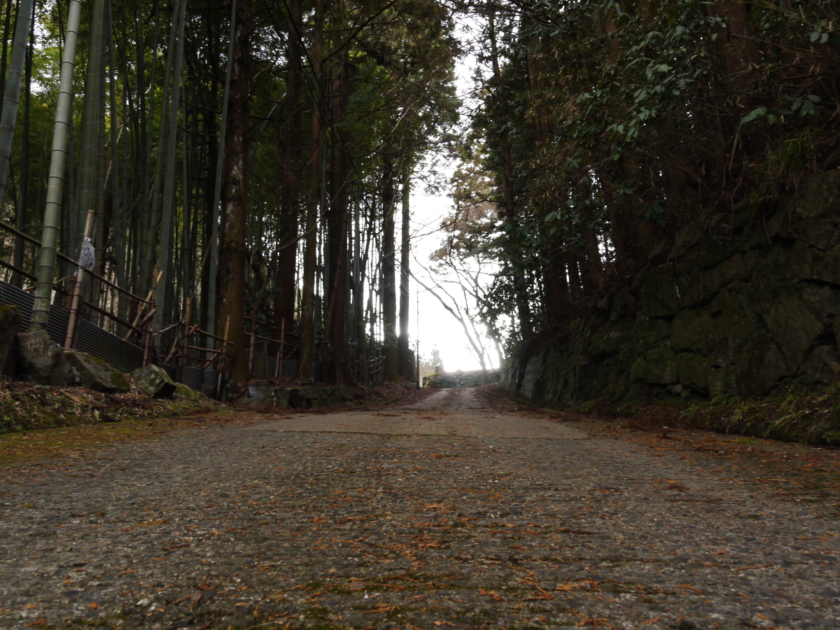 f:id:GiapponeDoriano:20210129190121j:plain