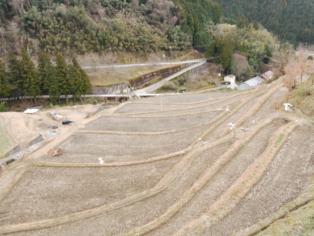 f:id:GiapponeDoriano:20210129202215j:plain