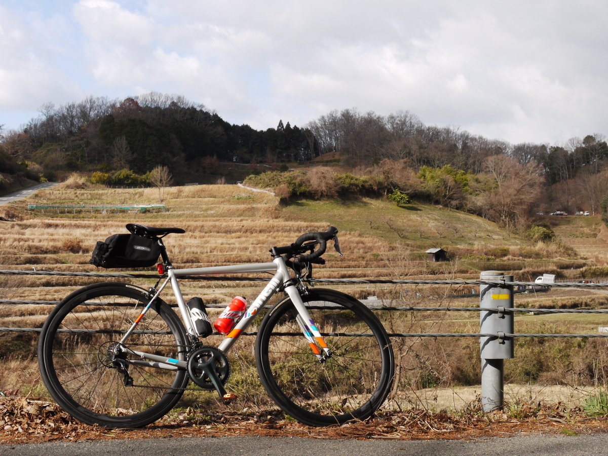 f:id:GiapponeDoriano:20210129202338j:plain