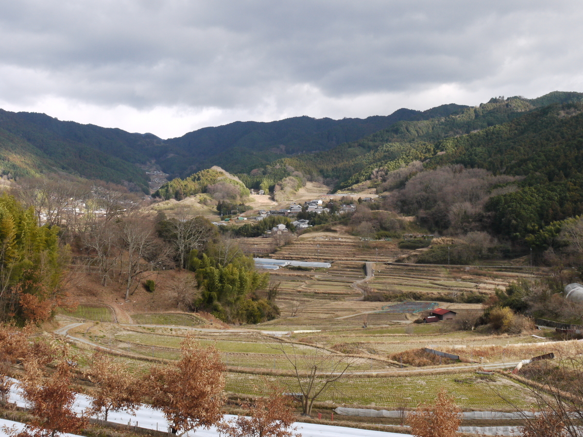 f:id:GiapponeDoriano:20210129202516j:plain