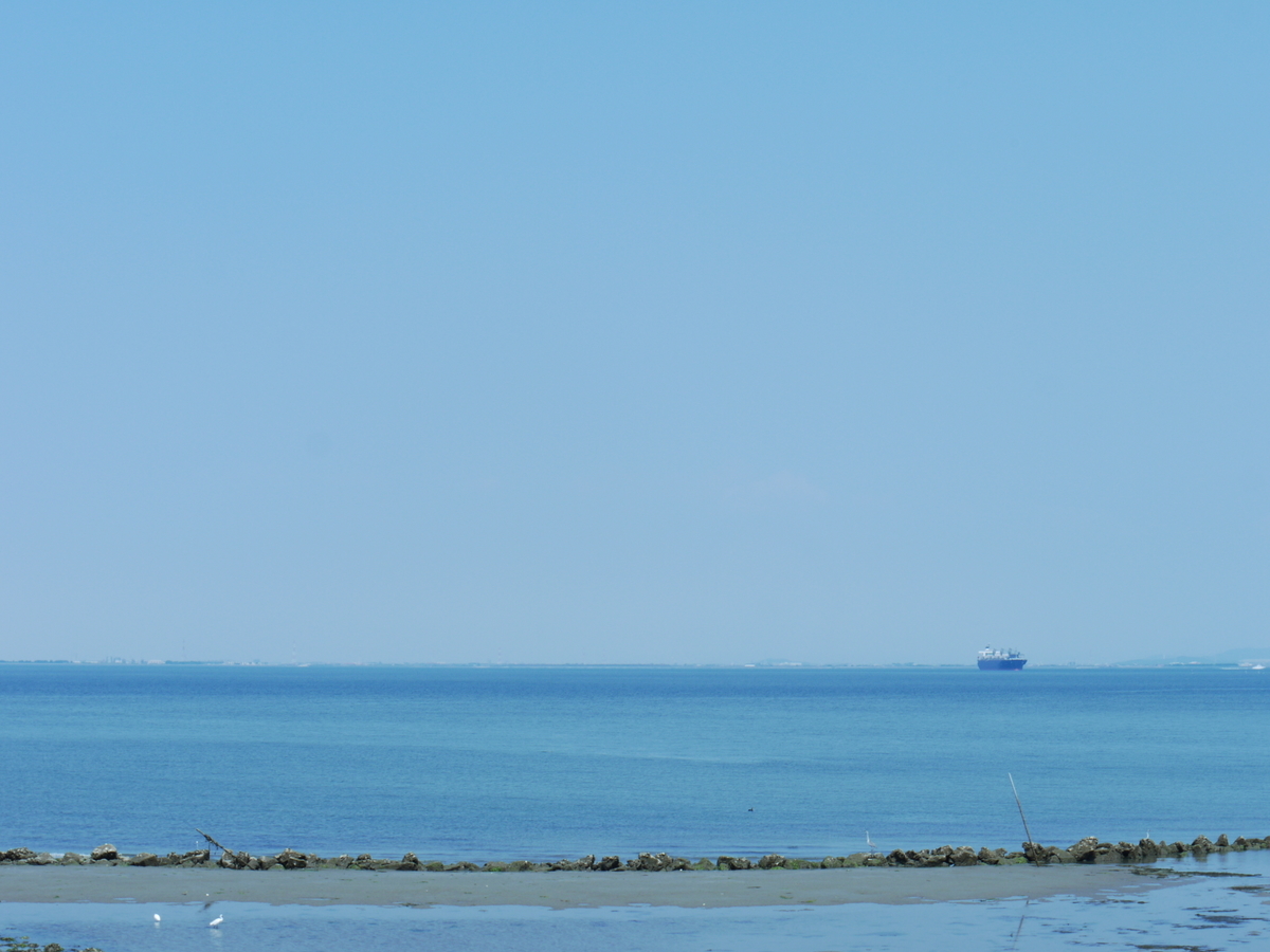 f:id:GiapponeDoriano:20210220131001j:plain