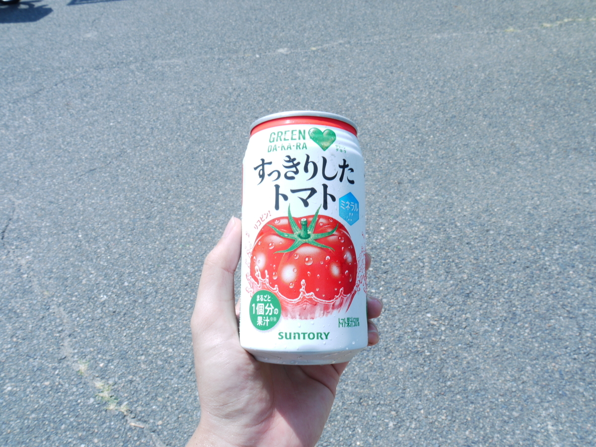 f:id:GiapponeDoriano:20210220143030j:plain