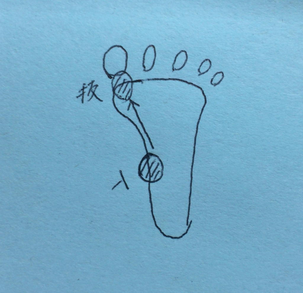 f:id:GibaMachi:20160911145909p:plain f:id:GibaMachi:20160911145909p:plain
