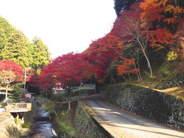イメージ 4