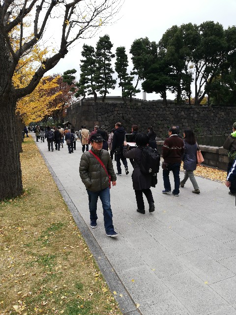 f:id:Giseppetomo:20181202102254j:image