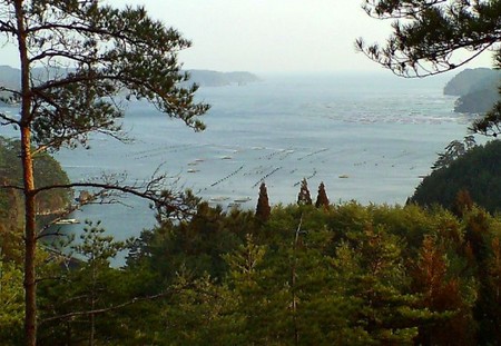 f:id:Gittyom:20060215153944j:image:w150