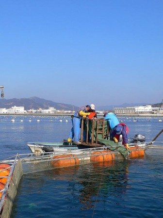 f:id:Gittyom:20070225151819j:image:h150