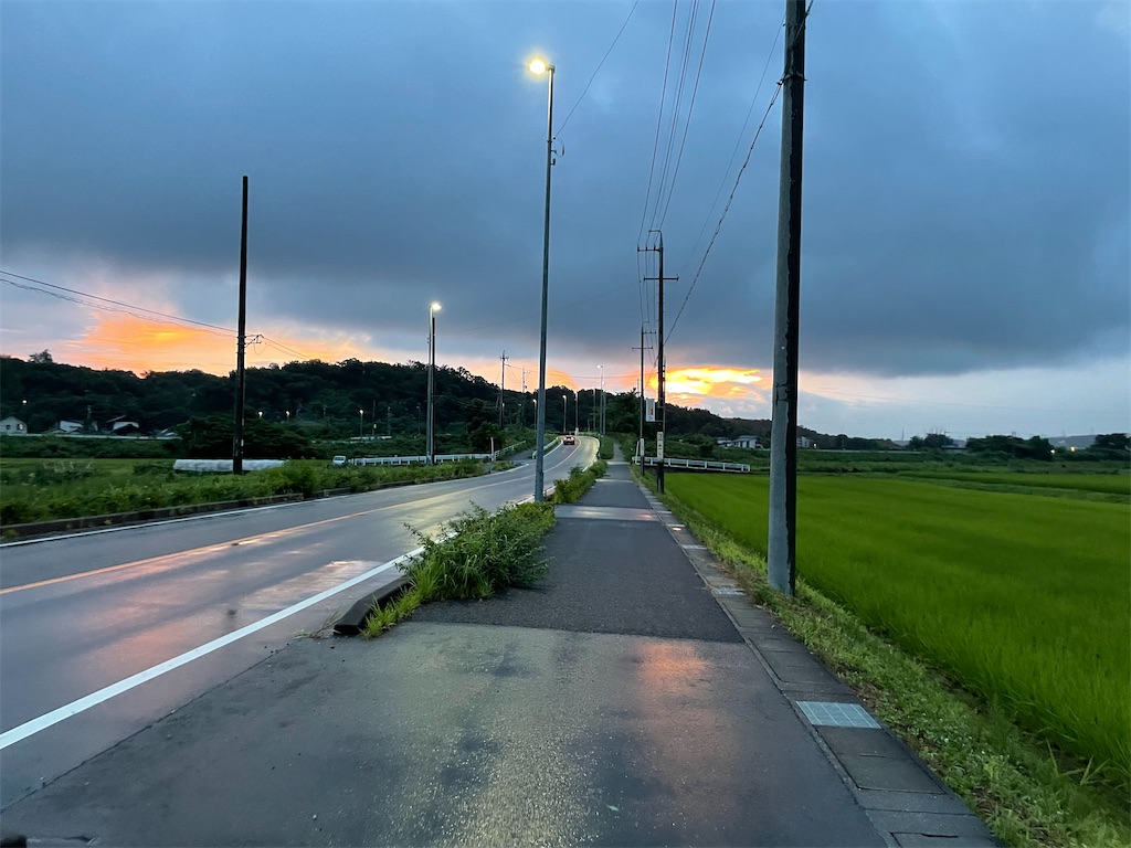 希望の轍とは 音楽の人気 最新記事を集めました はてな