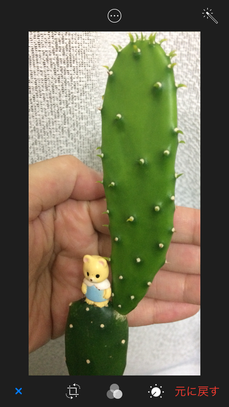 イメージ 2