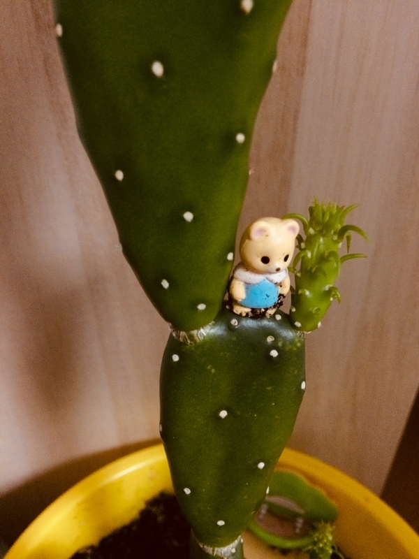 イメージ 2