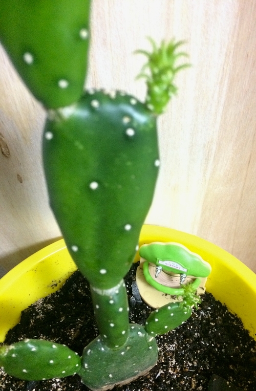 イメージ 2