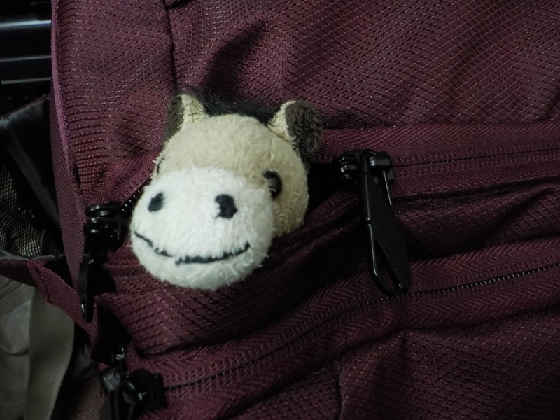イメージ 1