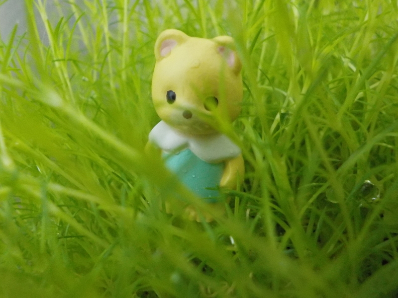 イメージ 2