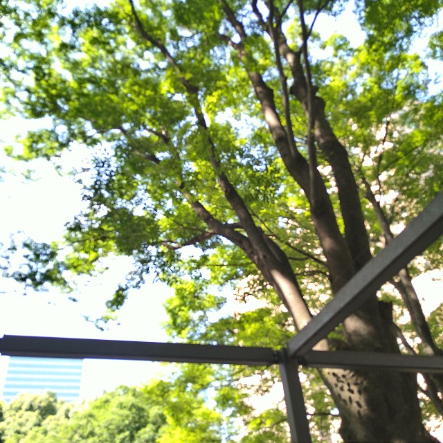 f:id:GlitterPuzzle:20220724002855j:image