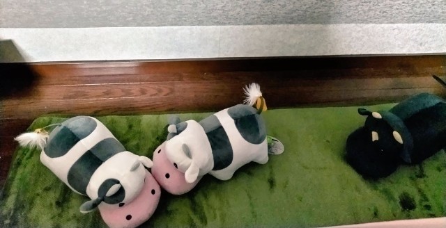 f:id:GlitterPuzzle:20221024224155j:image f:id:GlitterPuzzle:20221024224155j:image