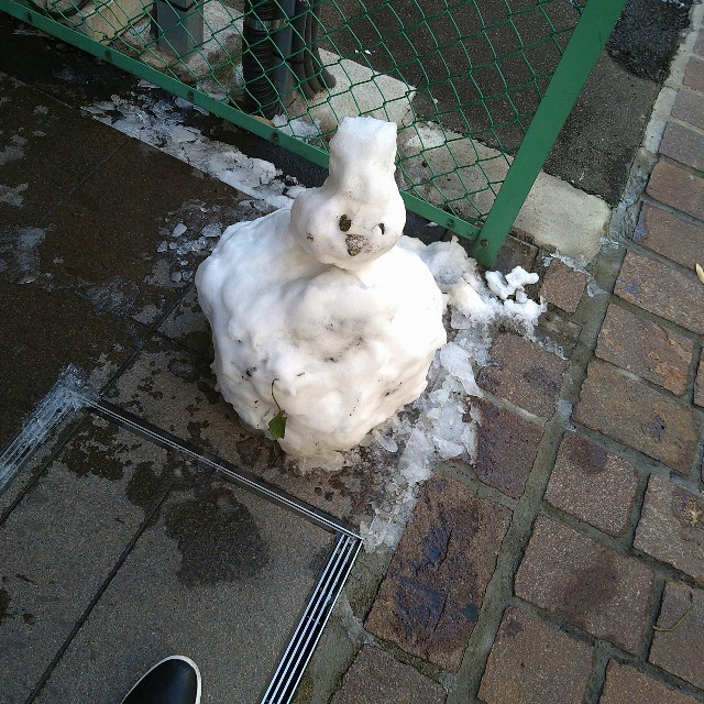 f:id:GlitterPuzzle:20230209215214j:image f:id:GlitterPuzzle:20230209215214j:image