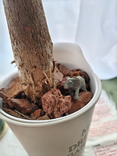 f:id:GlitterPuzzle:20230605203214j:image f:id:GlitterPuzzle:20230605203214j:image