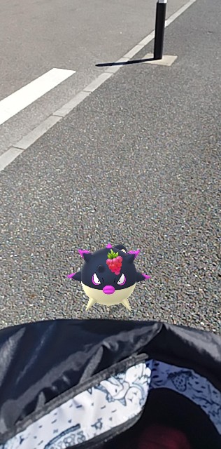 f:id:GlitterPuzzle:20240304034236j:image