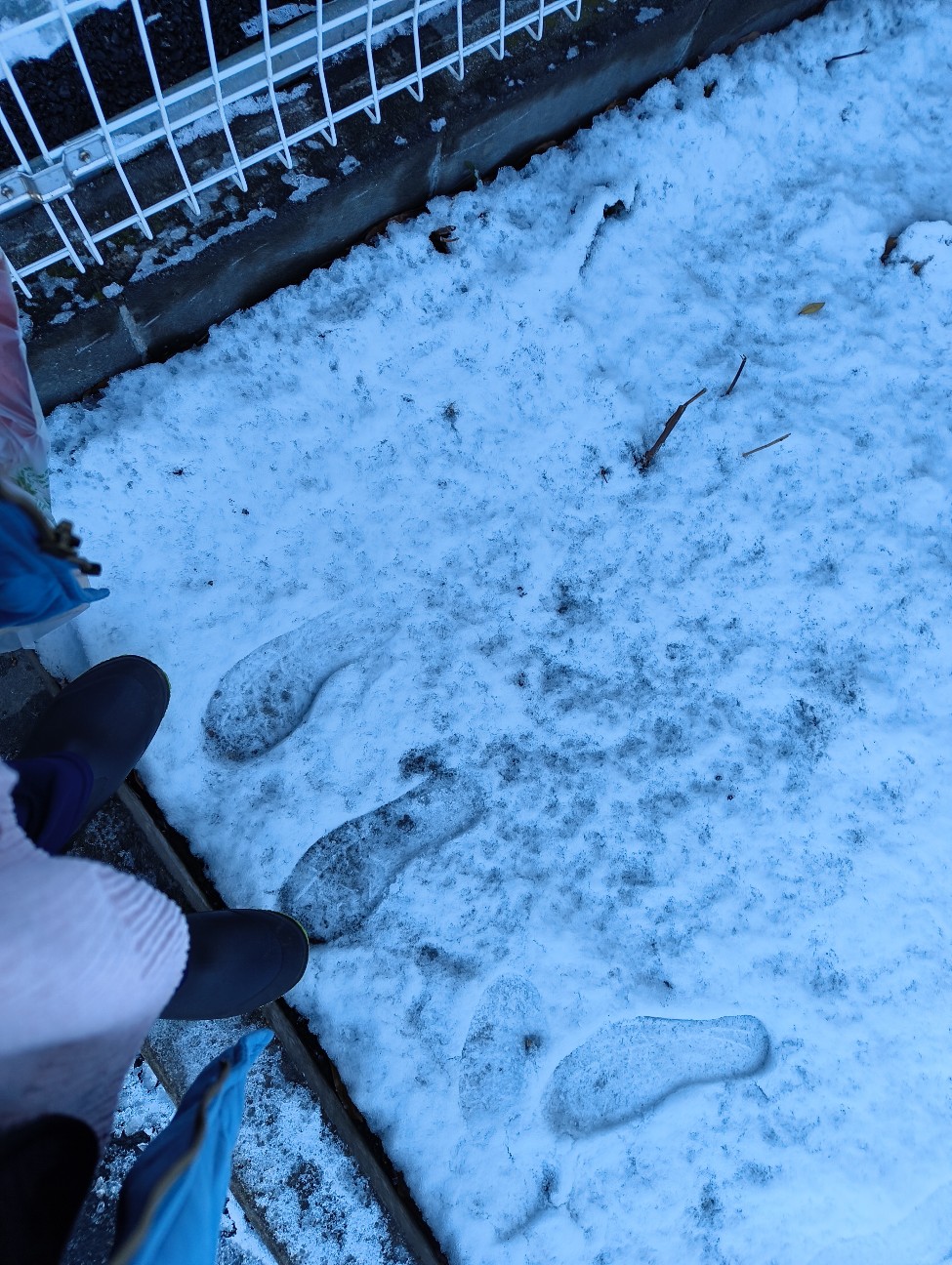 f:id:GlitterPuzzle:20260104194747j:image f:id:GlitterPuzzle:20260104194747j:image