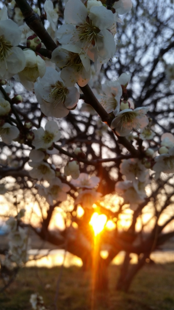 f:id:GlobalTravellerYumi:20180307081020j:plain