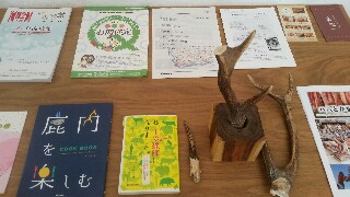 f:id:GlobalTravellerYumi:20180319230150j:image