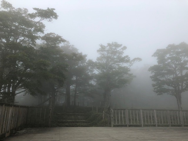 f:id:GlphTM26:20191004122708j:plain f:id:GlphTM26:20191004122708j:plain