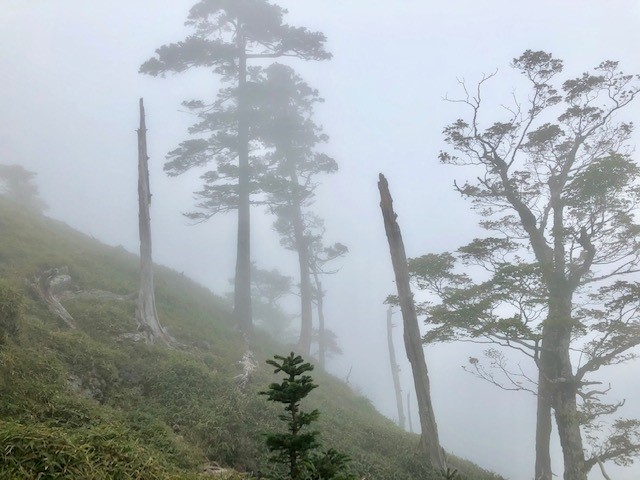 f:id:GlphTM26:20191004123951j:plain