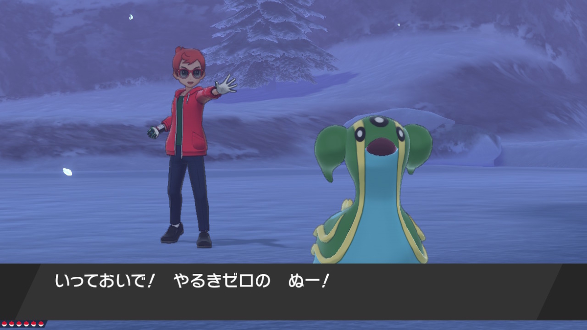 f:id:Gobirddy800:20201215223819j:plain