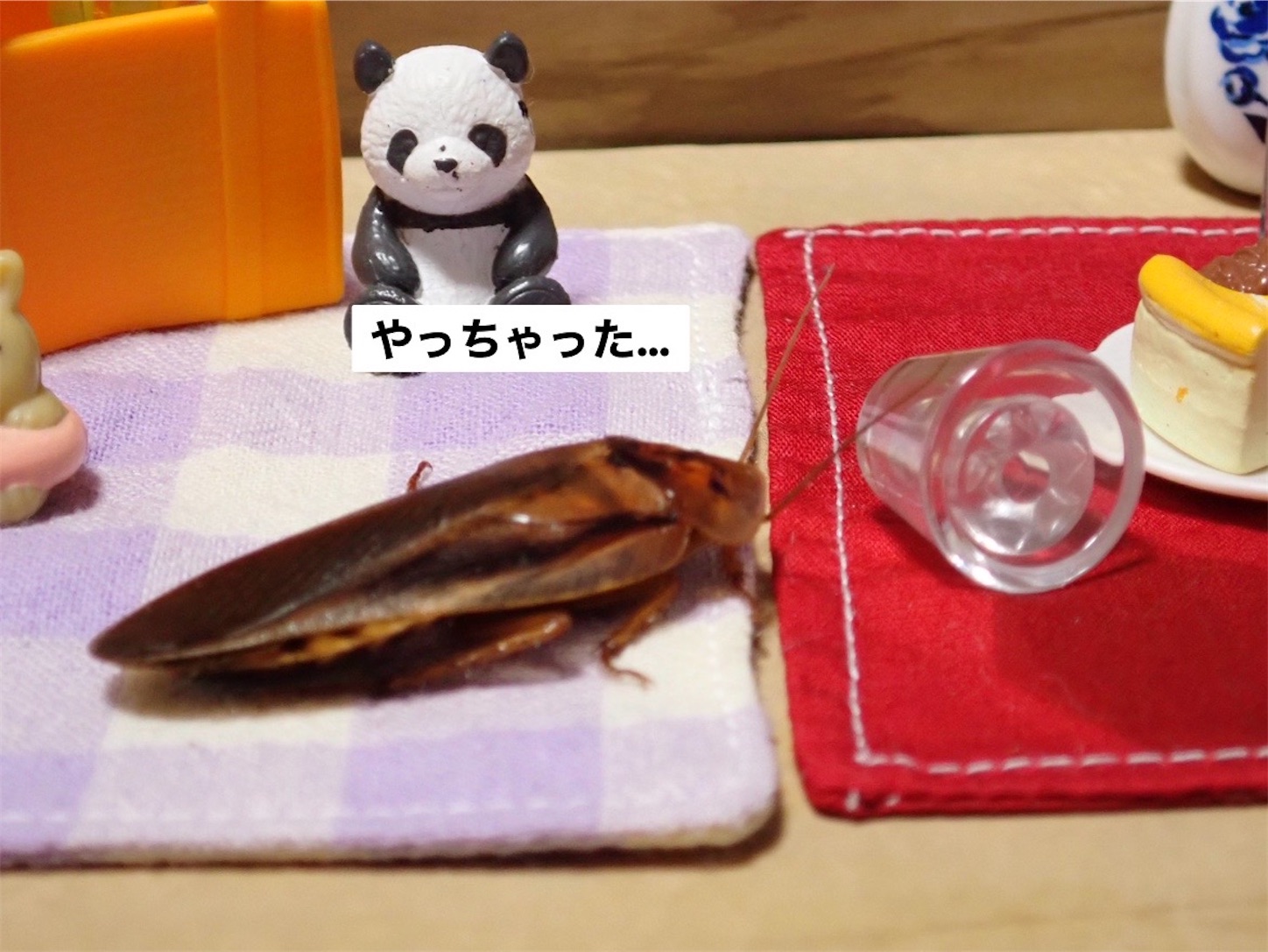 f:id:GochiburiyaNaaaaaaa:20240410180946j:image