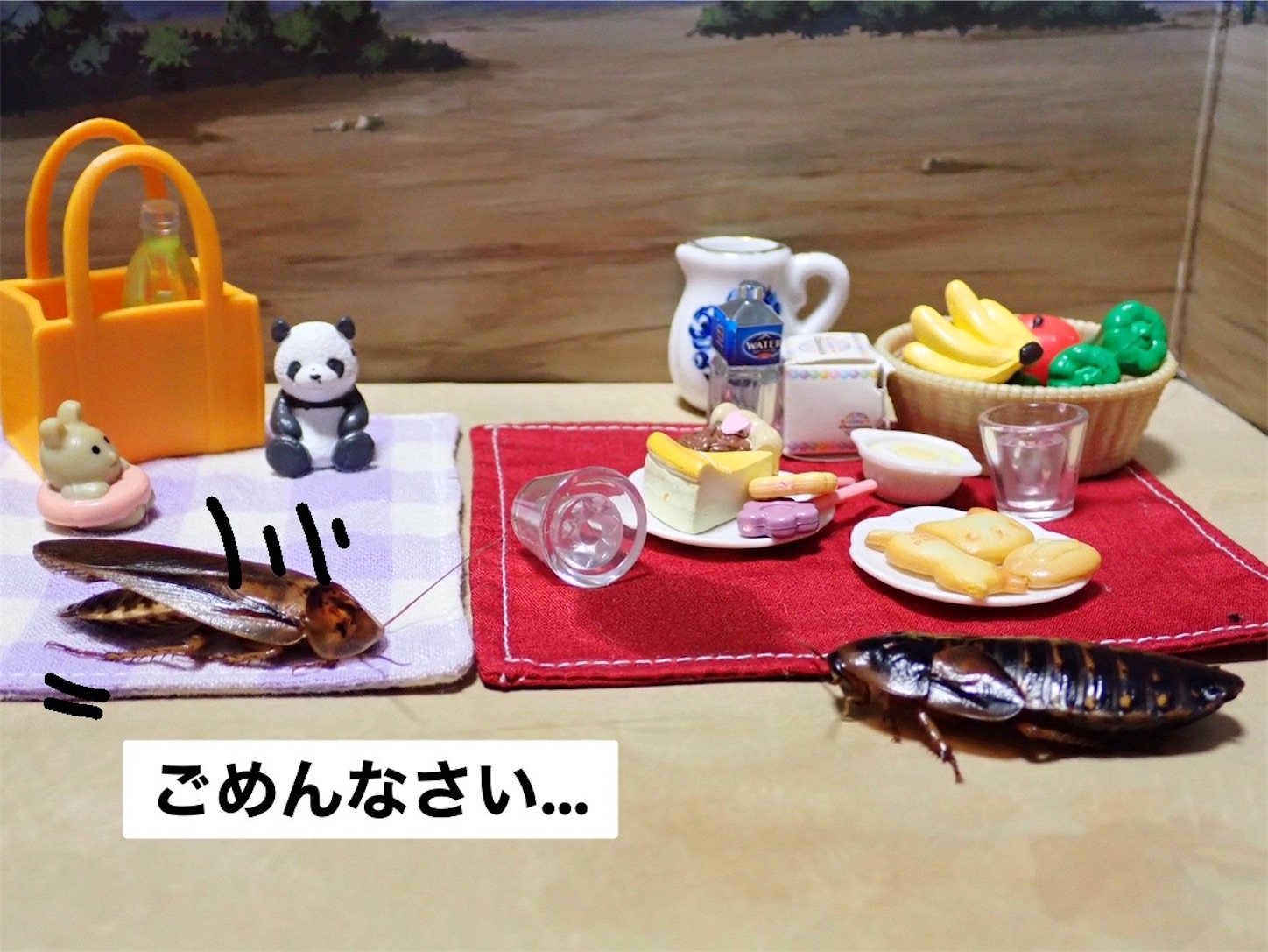 f:id:GochiburiyaNaaaaaaa:20240410181009j:image