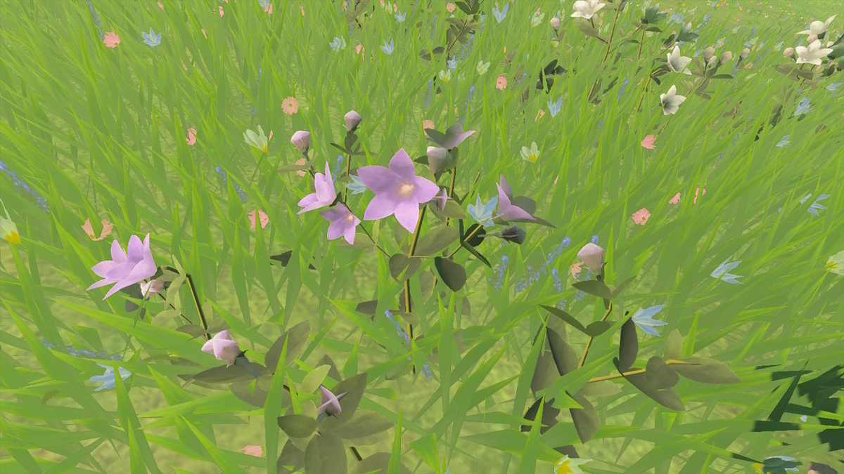 ハイラル植物図鑑
