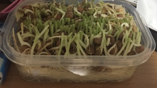f:id:Godwin1110:20201212184423j:plain