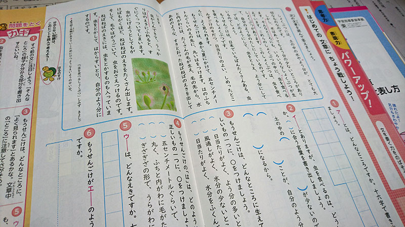 小学ポピー国語　初めての文章に挑戦しよう