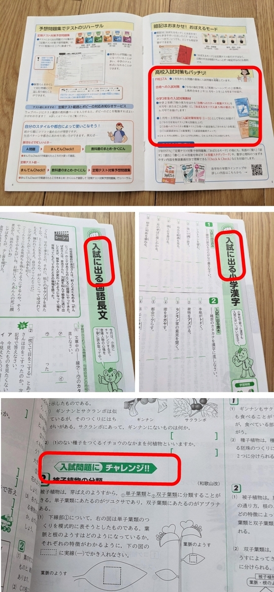 中学ポピーと令和の文通コーナーの話 - 理系ママの事件簿