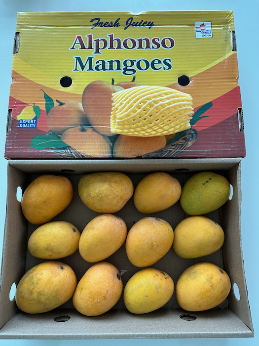 マンゴー+摘果 / Exclusive for Tani 様 20240530112536.jpg