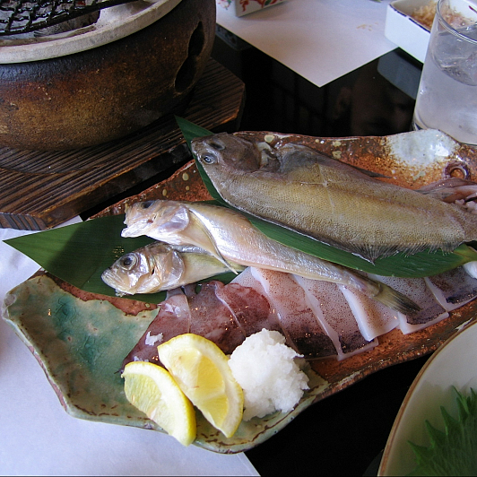 f:id:Golden_Jackal:20080615172409j:image:w162:right