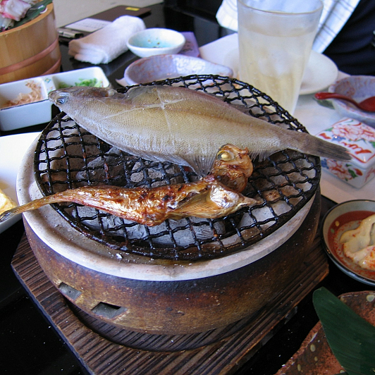 f:id:Golden_Jackal:20080615172410j:image:w162:right