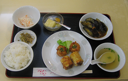 f:id:Golden_Jackal:20080628224243j:image:w150:right