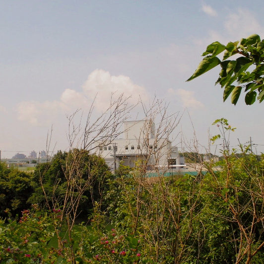 f:id:Golden_Jackal:20100816064040j:image:right:w150