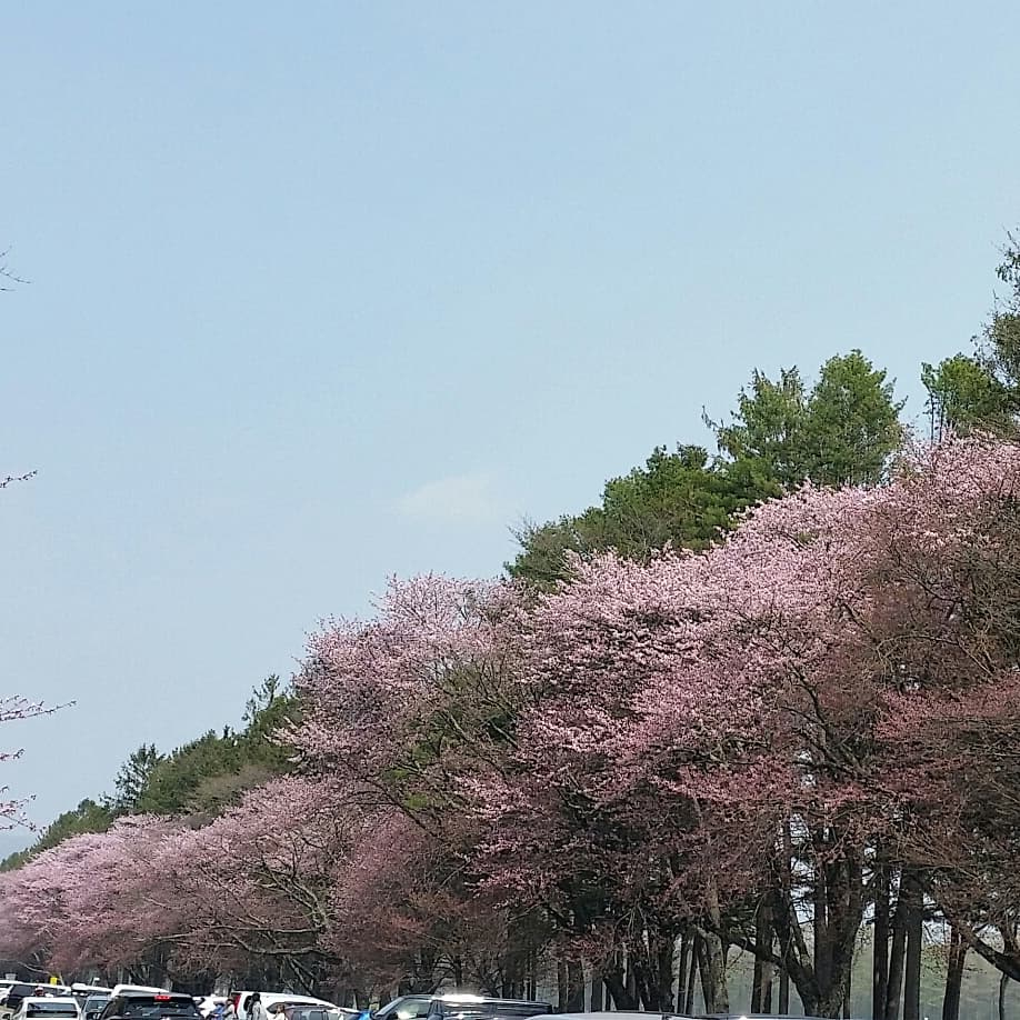 f:id:Goldsky:20190308143343j:plain f:id:Goldsky:20190308143343j:plain
