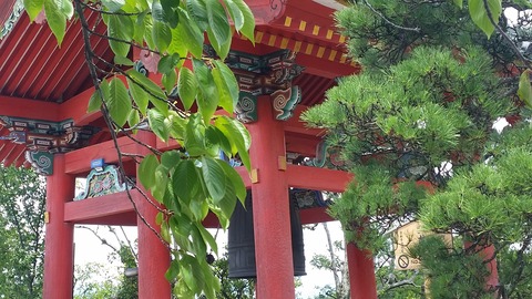 f:id:Goldsky:20190817093116j:plain f:id:Goldsky:20190817093116j:plain